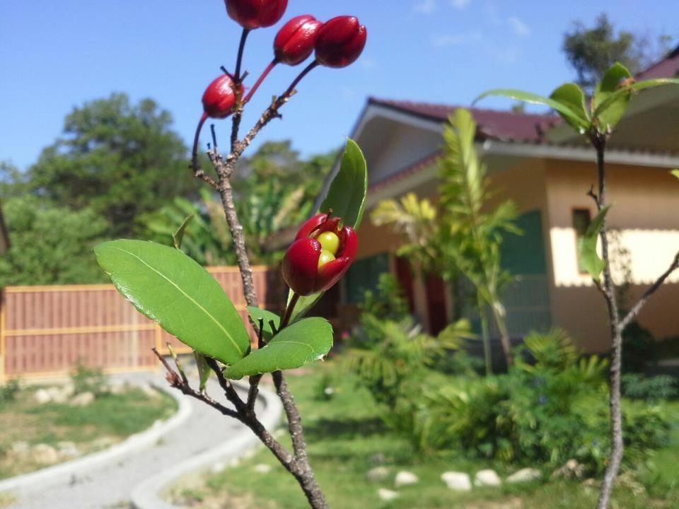 Villa De Mama Rawai Habitación foto